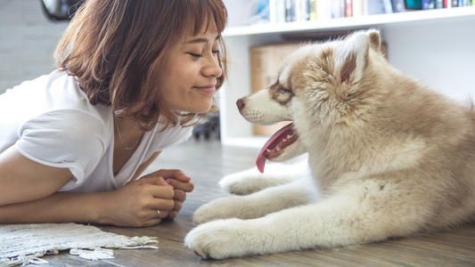 “懒人”不适合养狗?这6种运动量小的狗狗了解一下