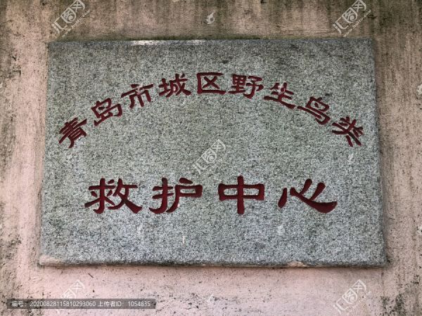 青岛市城区野生鸟类救护中心