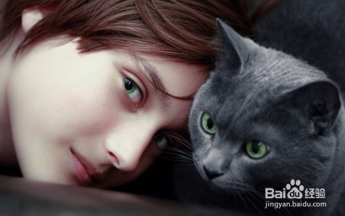 如何让猫咪主动亲近你