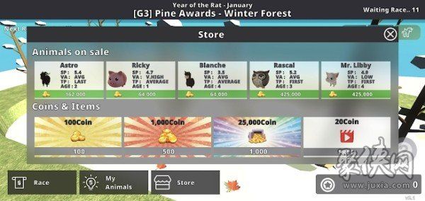 可爱动物赛跑比赛2021