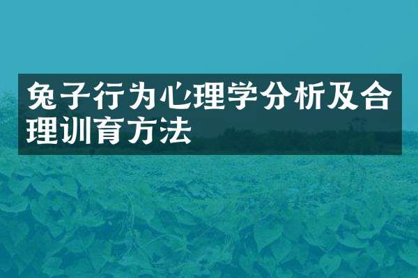 兔子行为心理学分析及合理训育方法