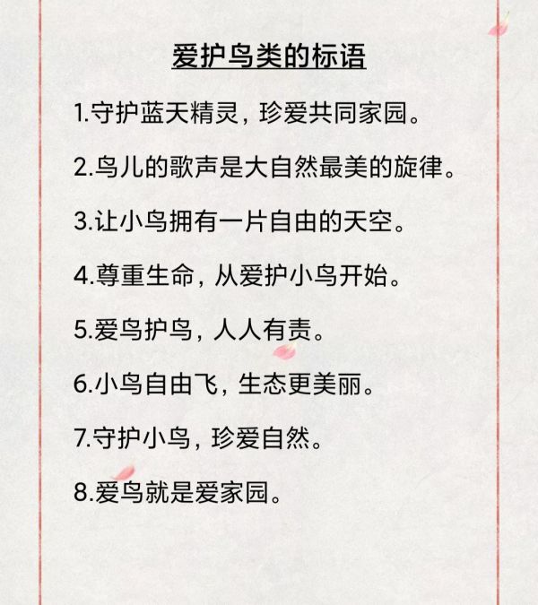 #每天学习一点点 #小学语文 一二年级三年级爱护鸟类的标语(记起来)#一起学习 #知识积累 #贵在坚持
