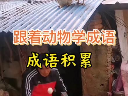 当成语具像化，知识不知不觉就进入了脑袋里#成语积累 #小学语文#每天学习一点点 #寓教于乐 #关注我每天坚持分享知识