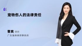 宠物伤人的法律责任