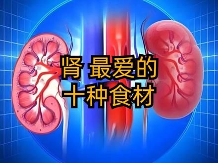 肾最爱的十种食材 #养生 #食疗养生 #男性养生 #艺术在抖音 #肾脏健康
