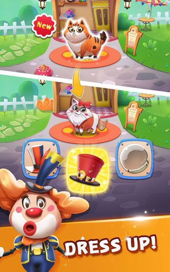 猫咪公园