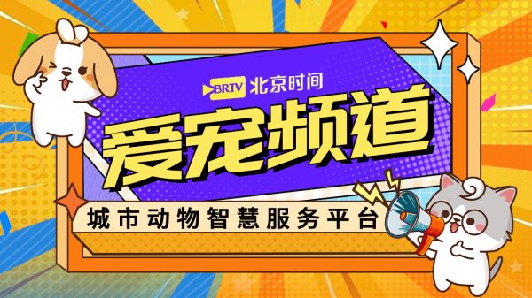 收藏!北京时间“爱宠频道”全新上线!宠物免疫等服务超全指南来了→
