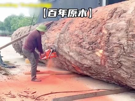 用一根百年原木来制作家具#高手在民间 #手工diy #牛人制造 #制作过程 #施工现场实拍