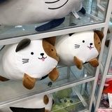 小懂事