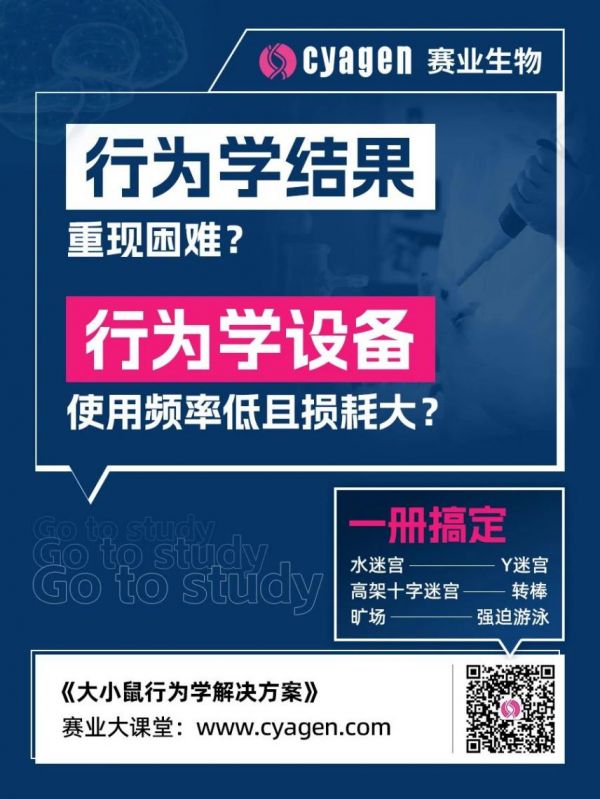 自闭症小鼠