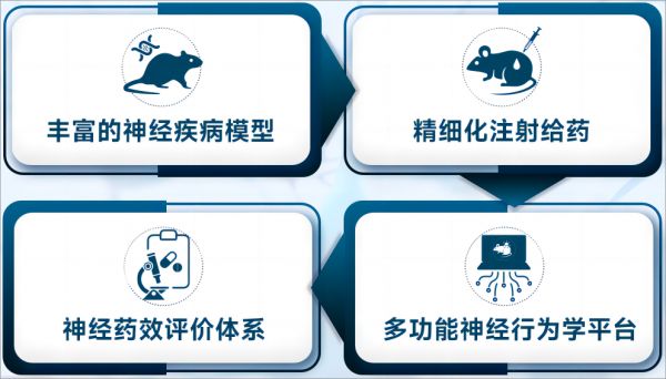 自闭症小鼠