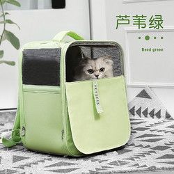 Hoopet 华元宠物猫包外出便携背包春秋猫咪书包狗狗航空箱大号手提猫袋双肩太空舱大容量猫笼 肥猫专属-芦苇绿 适用：猫16斤内-狗10斤内