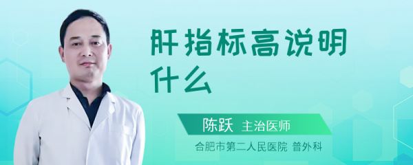 肝指标高说明什么