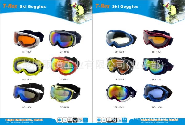 ski goggles (8)