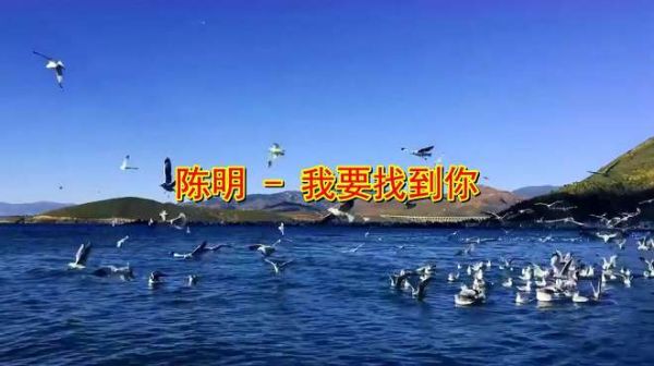 陈明一首《我要找到你》经典老歌,重温经典,无数记忆涌上心头!