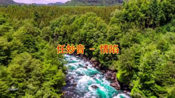 任妙音经典老歌《情陷》,重温经典,回忆过去!