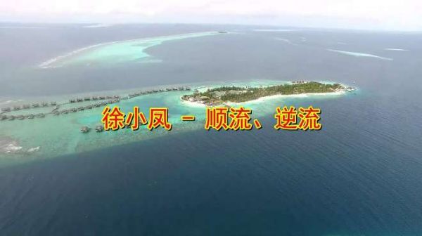 徐小凤的老歌《顺流、逆流》,莫名好听,听说流泪的都是有故事