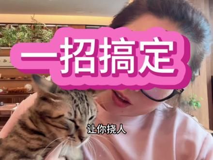 你家猫是不是也这个样子？一招搞定 不信你试试#猫咪 #科普一下 #经验分享 #干货分享 #新手养猫