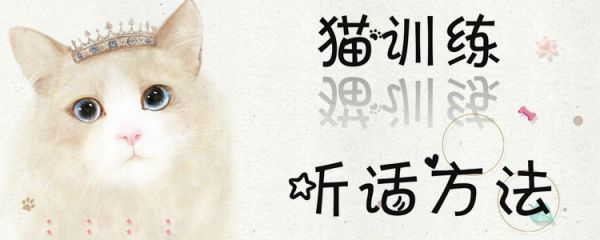 猫训练听话方法