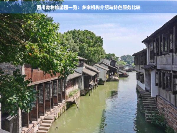 四川宠物旅游团一览：多家机构介绍与特色服务比较