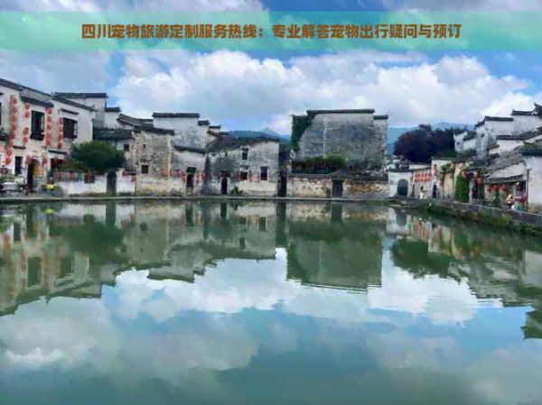 四川宠物旅游定制服务热线：专业解答宠物出行疑问与预订