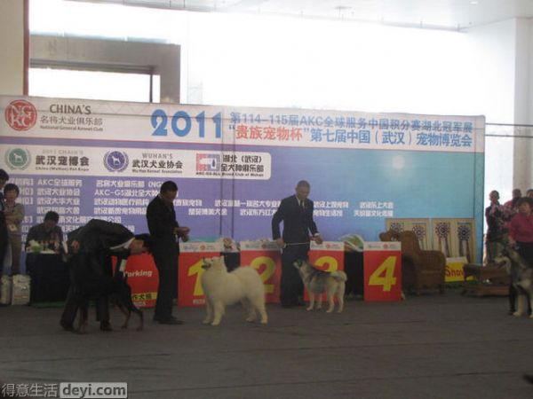 还是那张，就是不知道什么时候搬奖
