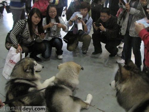 继续围观