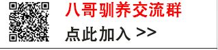 八哥鸟肠胃炎土霉素
