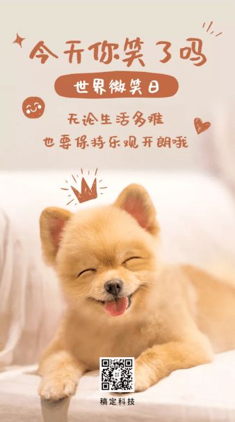 萌宠灵感集结：宠物创意文案精选与创作灵感
