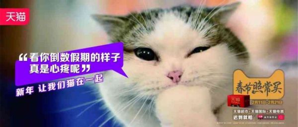 萌宠灵感集结：宠物创意文案精选与创作灵感