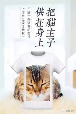 萌宠灵感集结：宠物创意文案精选与创作灵感
