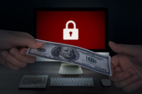 南模动物侵权案：宠物权益保护的新挑战图1