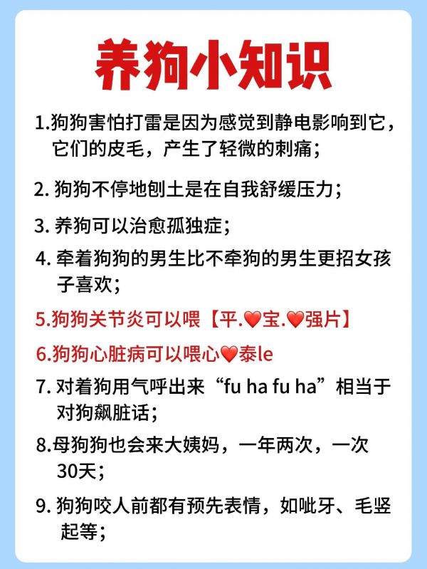 5种常见狗狗叫声，真实含义解读。#养狗经验分享 #科学养宠攻略 #养狗小知识 #养狗人 #新手养狗