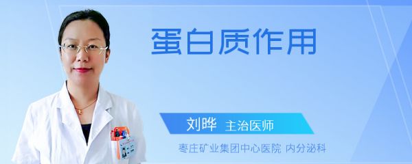 蛋白质作用