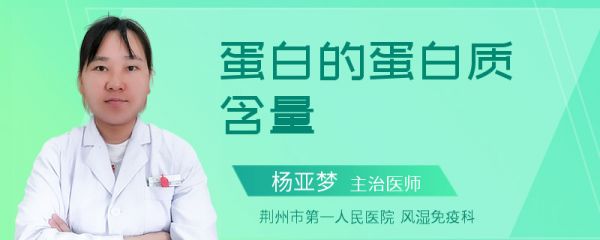 蛋白的蛋白质含量