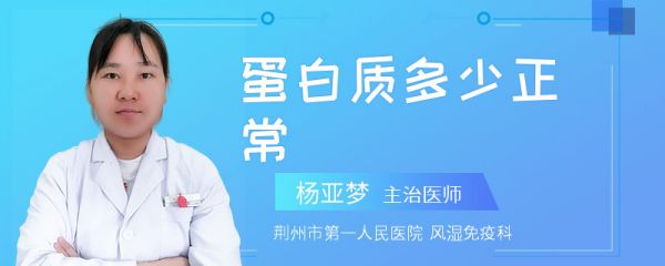 蛋白质多少正常
