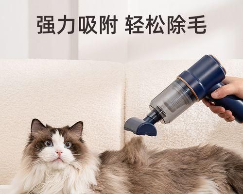 猫生小猫究竟有几只胎（揭秘猫妈咪的孕育规律）