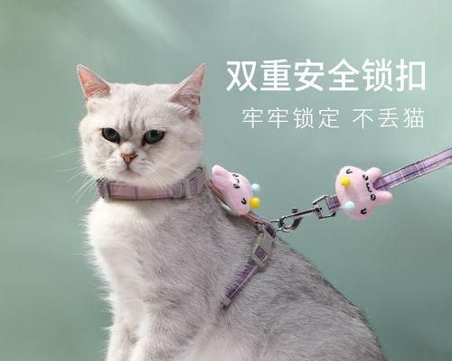 猫生小猫究竟有几只胎（揭秘猫妈咪的孕育规律）