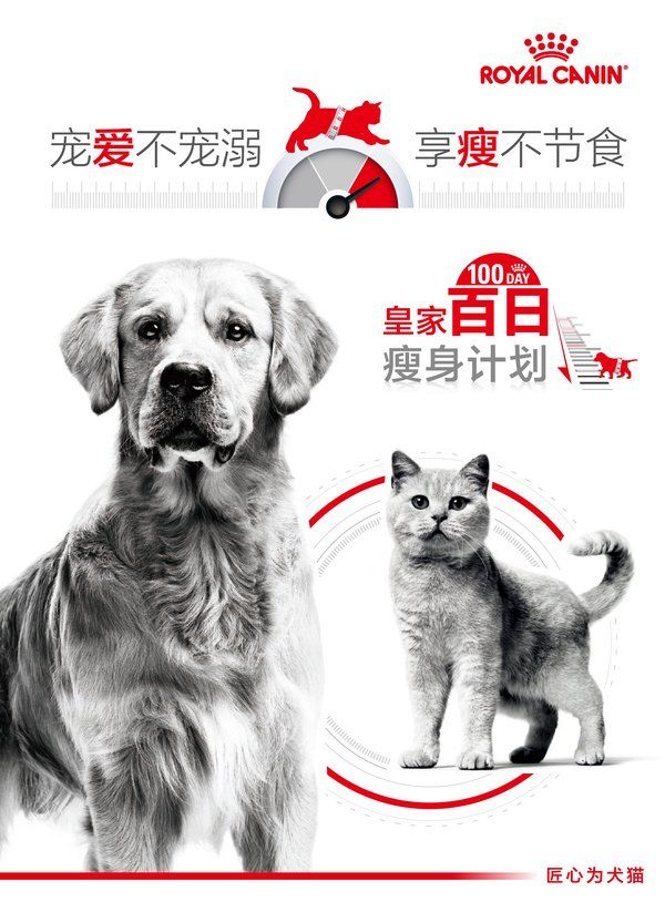 皇家宠物食品发起全国首个“百日瘦身计划”
