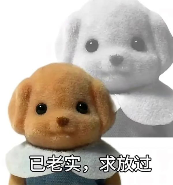 图源微信