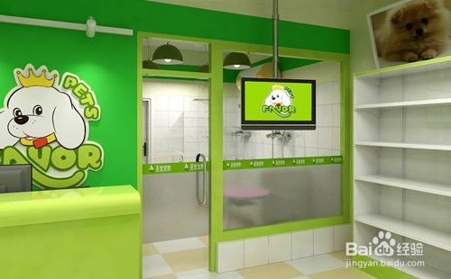 宠物店投资要注意什么