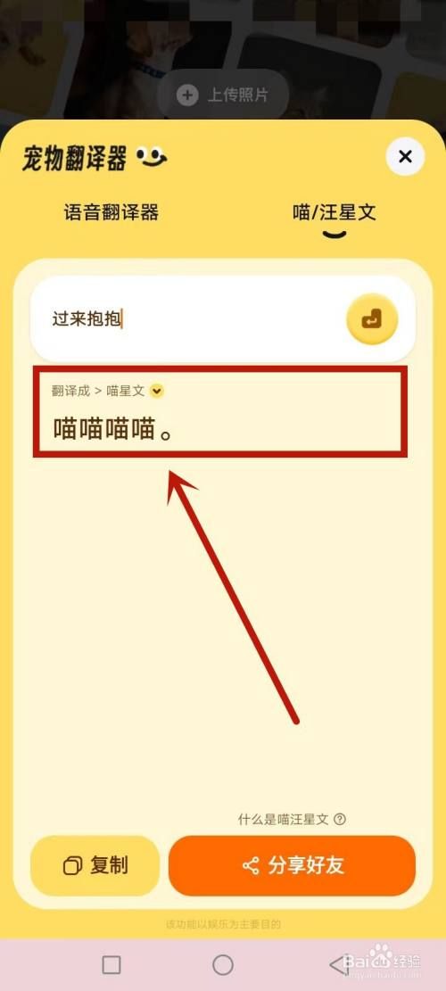 宠爱怎么给猫下指令