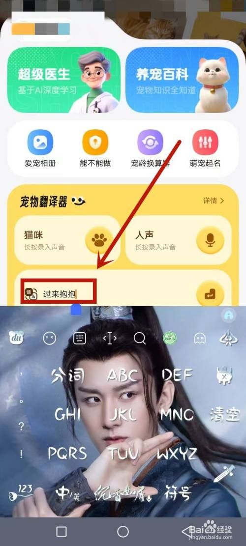 宠爱怎么给猫下指令