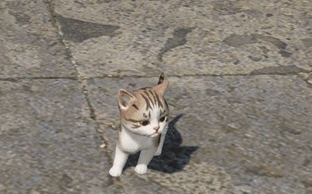 逆水寒如何获得宠物猫？