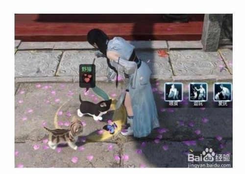 逆水寒如何获得宠物猫？