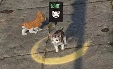 逆水寒如何获得宠物猫？