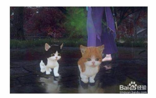 逆水寒如何获得宠物猫？