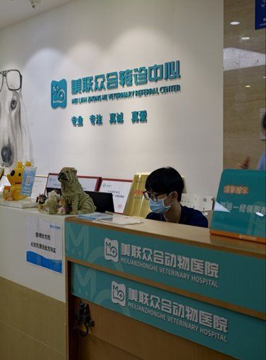  我家猫说还想来这里体检！ 