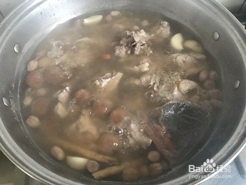 猫老了怎样补充营养
