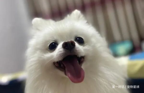 QQ截图20230805160020.png